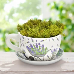 Blumentopf Pflanztasse