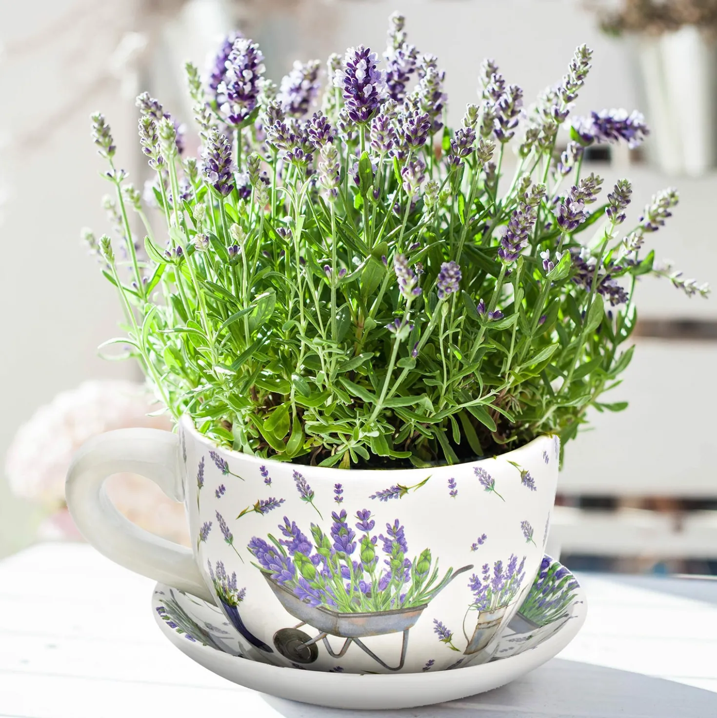Blumentopf Pflanztasse "Lavendel" aus Keramik klein