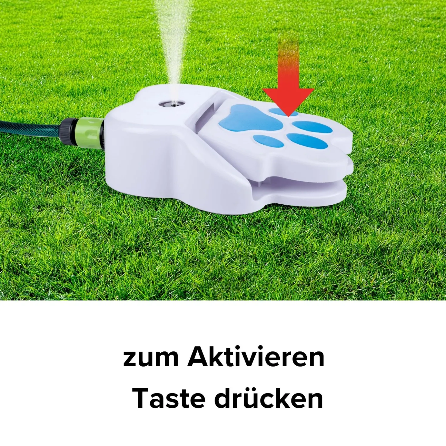 Hundetrinkbrunnen für den Gartenschlauch