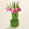 Kunstblume Schneeglöckchen-Nest pink Eldo