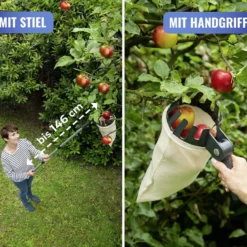 Obstsammler XL mit Teleskopstiel MAXIMEX
