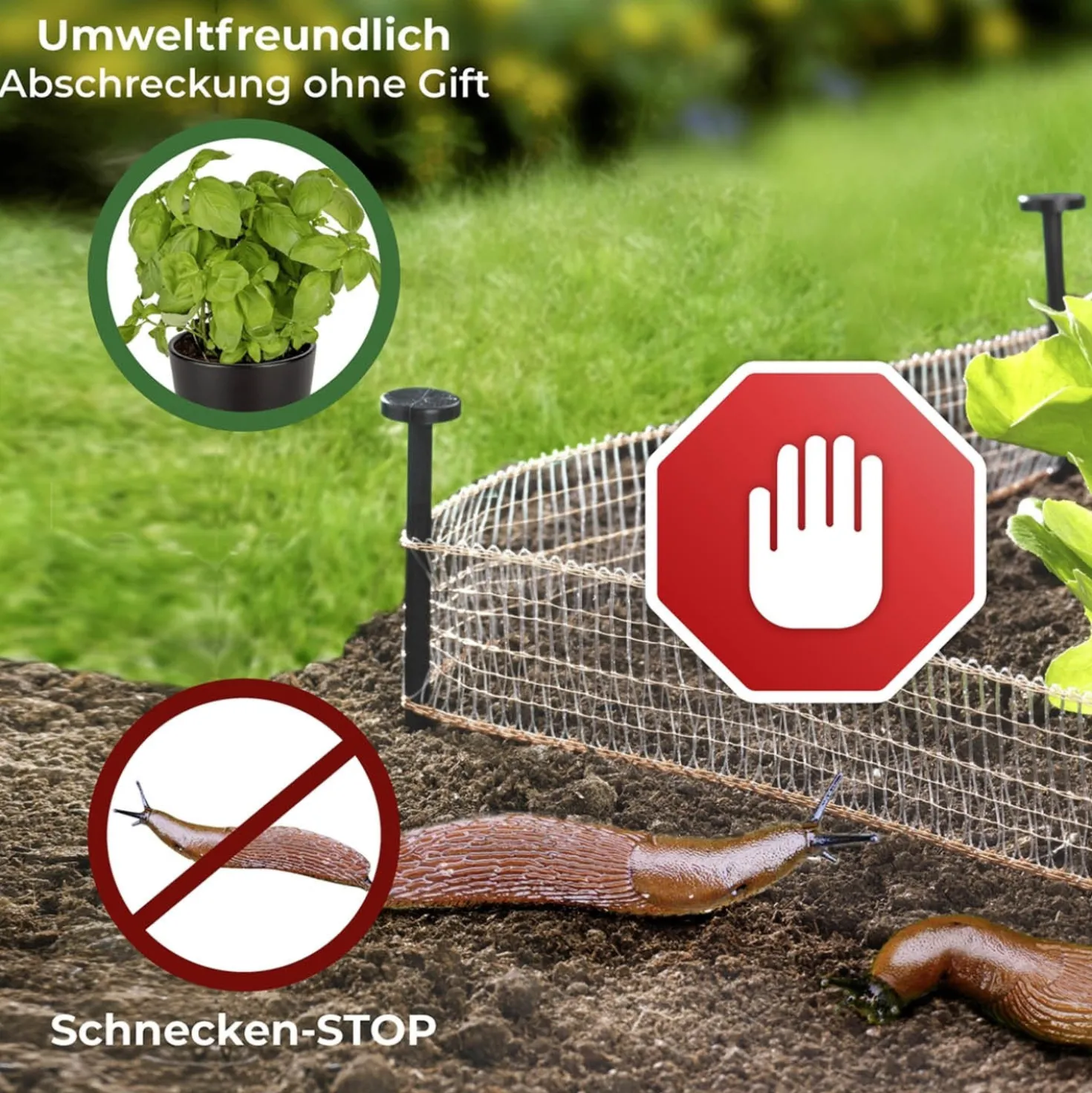 Schnecken-Stopp 8 m 2er Set MAXIMEX