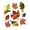 Soft-Fensterbilder "Herbstlaub"