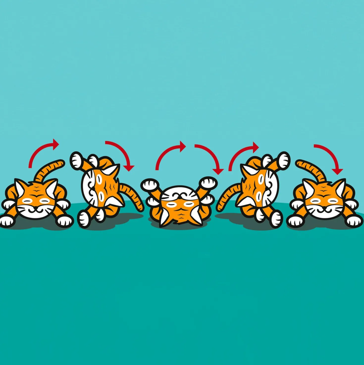 Spielzeugkatze "Ginger" rollend & lachend