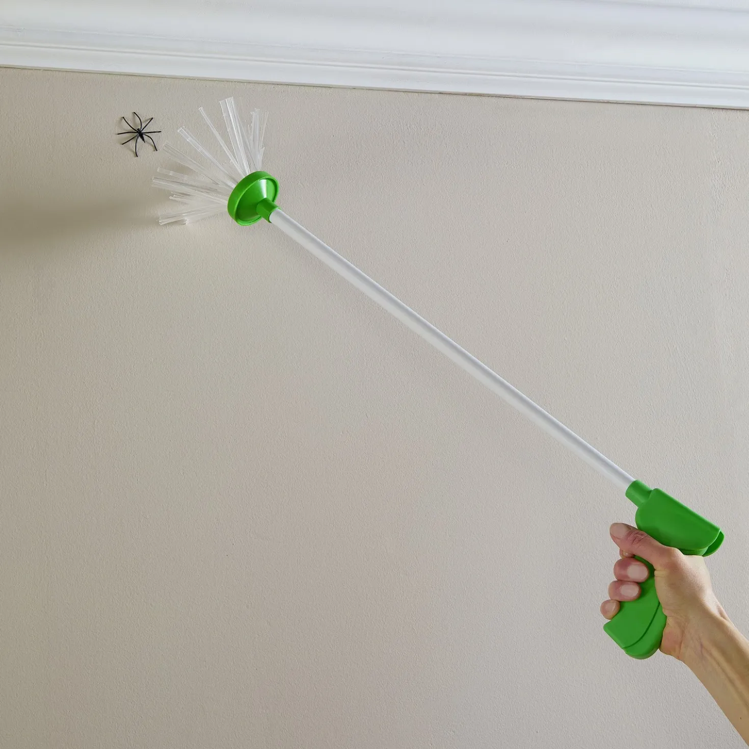 Spinnenfänger mit langem Griff