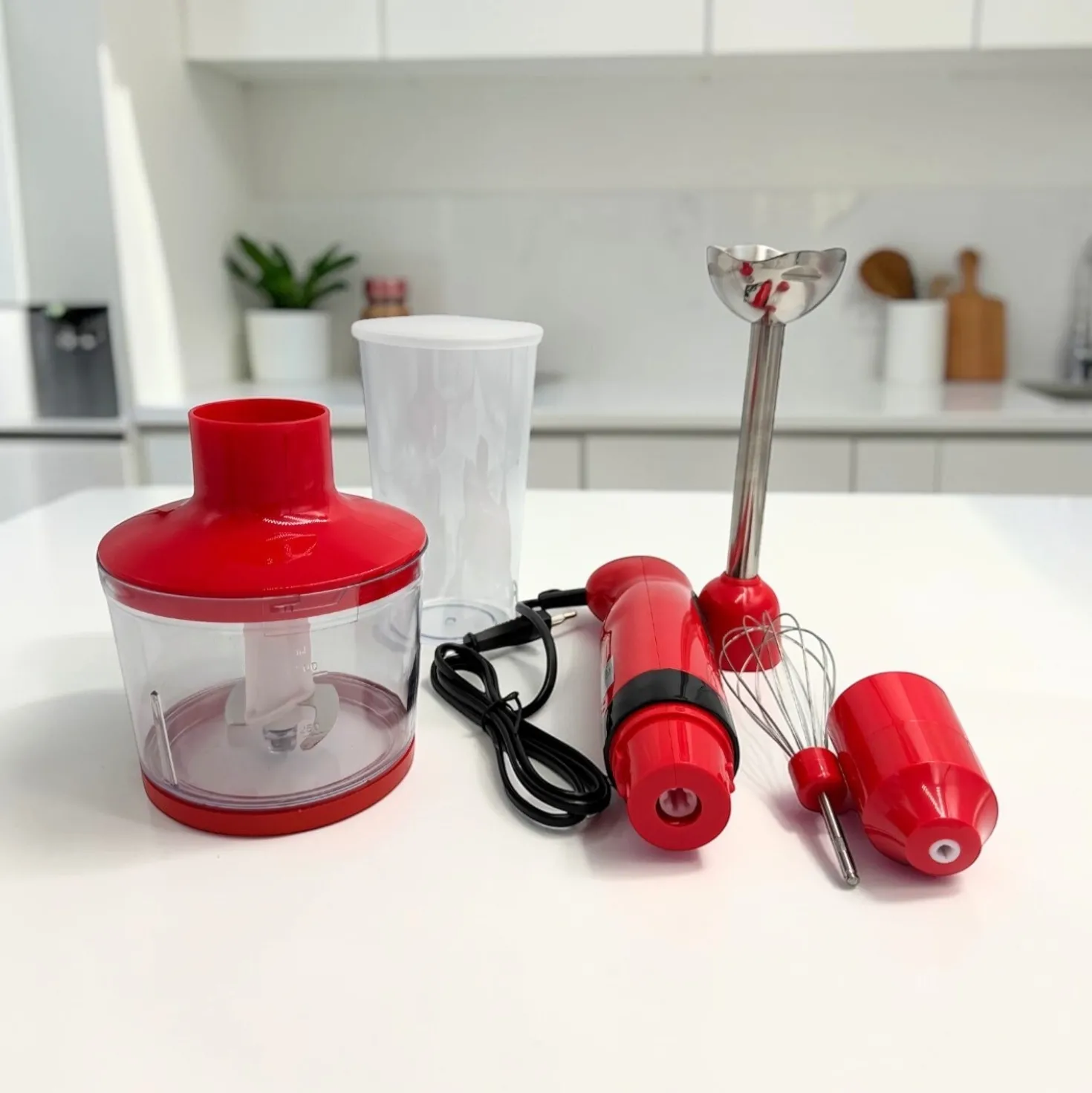 Stabmixer-Set "BlendXpress" 4-in-1