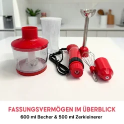 Stabmixer-Set