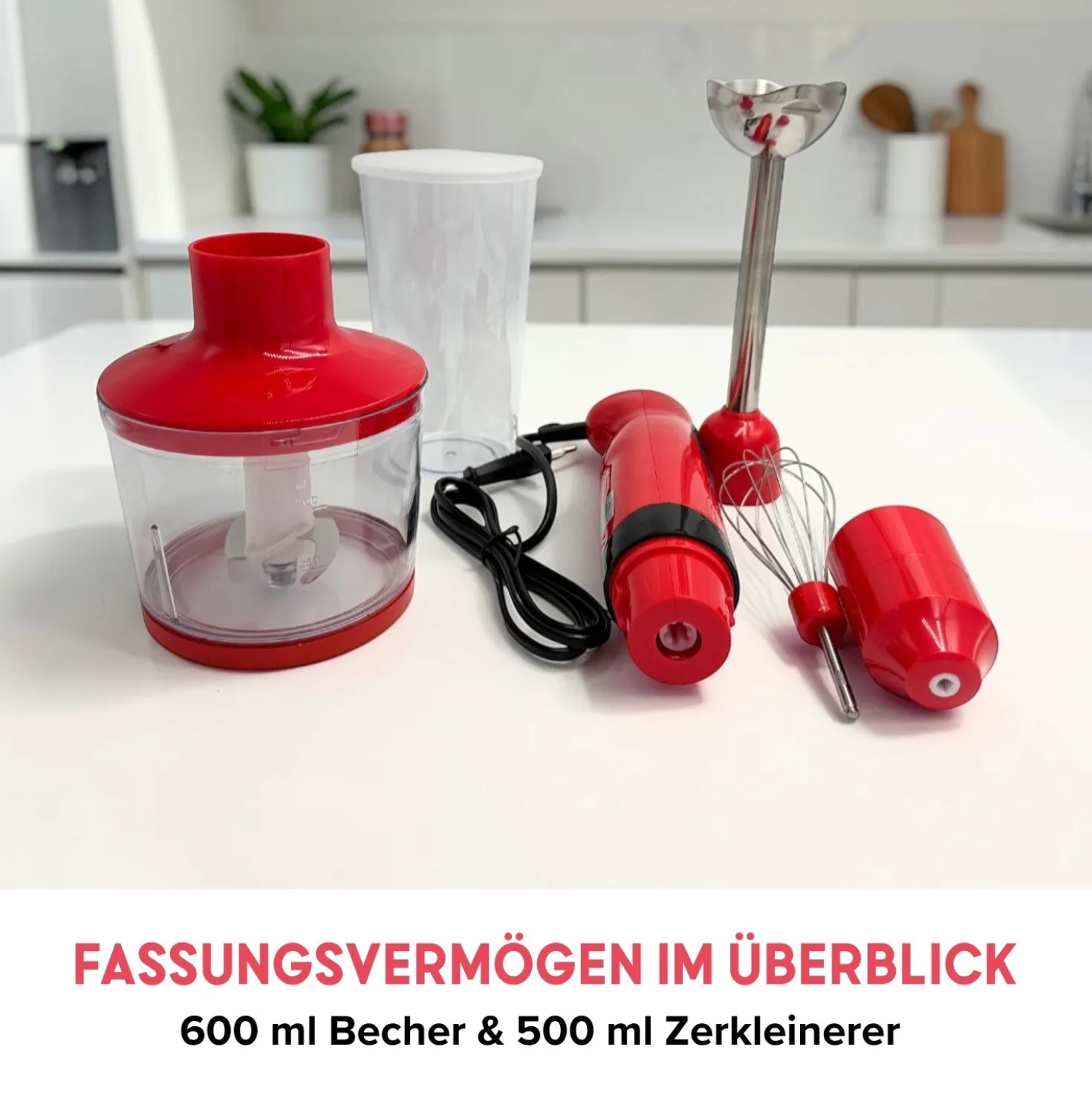 Stabmixer-Set "BlendXpress" 4-in-1
